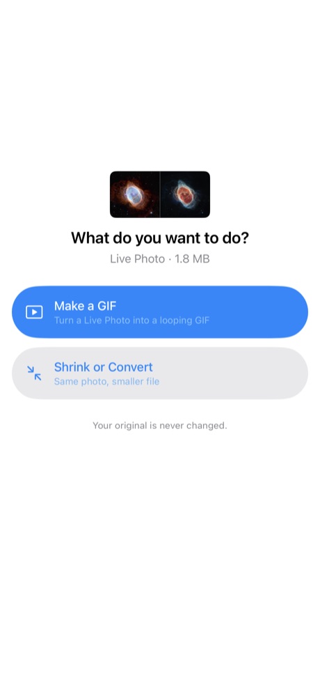 EasyJPEG asking whether to make a GIF or shrink the photo after a Live Photo is picked