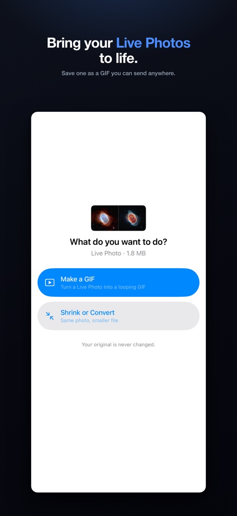 EasyJPEG on iPhone: bring your Live Photos to life